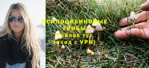 PSILOCYBIN Бронницы